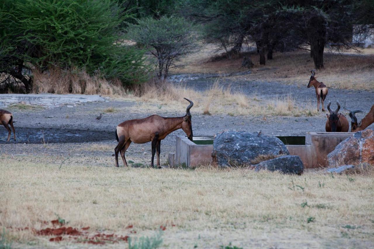Gabus Game Ranch Villa Otavi Dış mekan fotoğraf