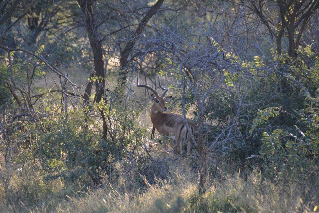 Gabus Game Ranch Villa Otavi Dış mekan fotoğraf